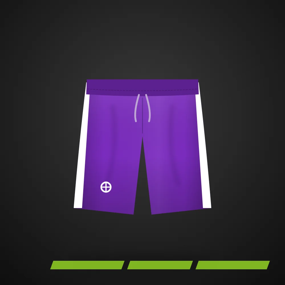 Shorts Basket Hoopz Court